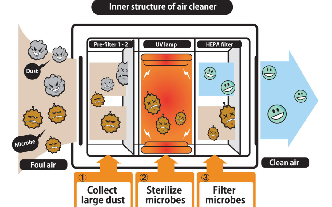 inner structure of air purifier