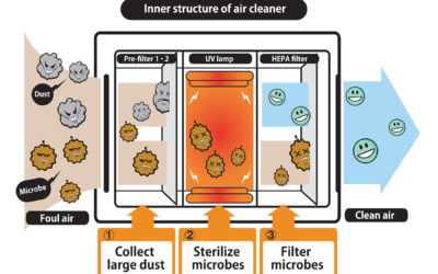 Breathe Easier with an Air Purifier