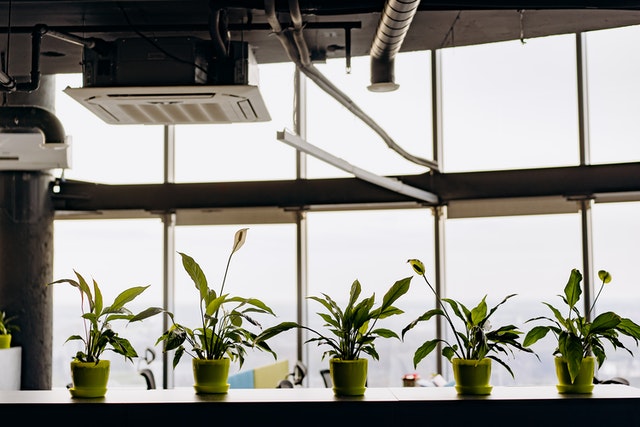 HVAC Unit and Peace Lillies in Window